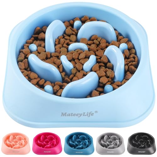 Blue Maze Slow Feeder for Medium-Large Dogs