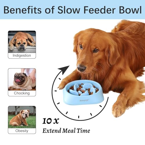 Blue Maze Slow Feeder for Medium-Large Dogs