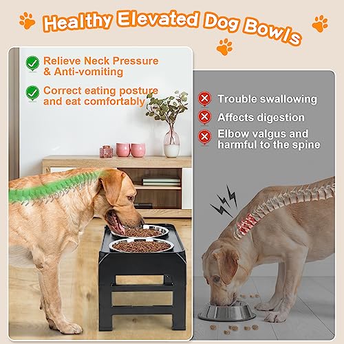 Adjustable Height Raised Dog Feeder with Stainless Steel Bowls