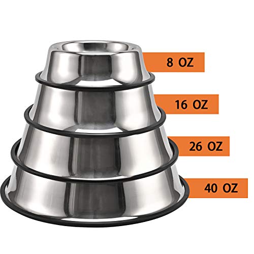 Stainless Steel Dog Bowl with Anti-Skid Base (2-Pack)