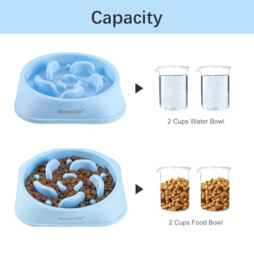 Blue Maze Slow Feeder for Medium-Large Dogs