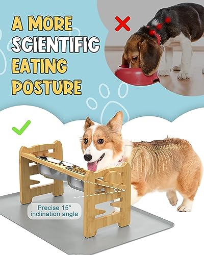 Adjustable Elevated Dog Bowls with Stainless Steel Bowls