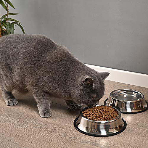 Stainless Steel Dog Bowl with Anti-Skid Base (2-Pack)