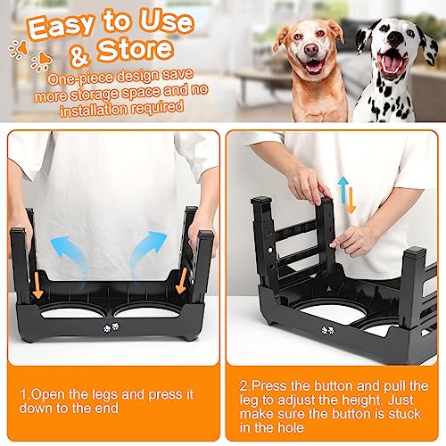 Adjustable Height Raised Dog Feeder with Stainless Steel Bowls
