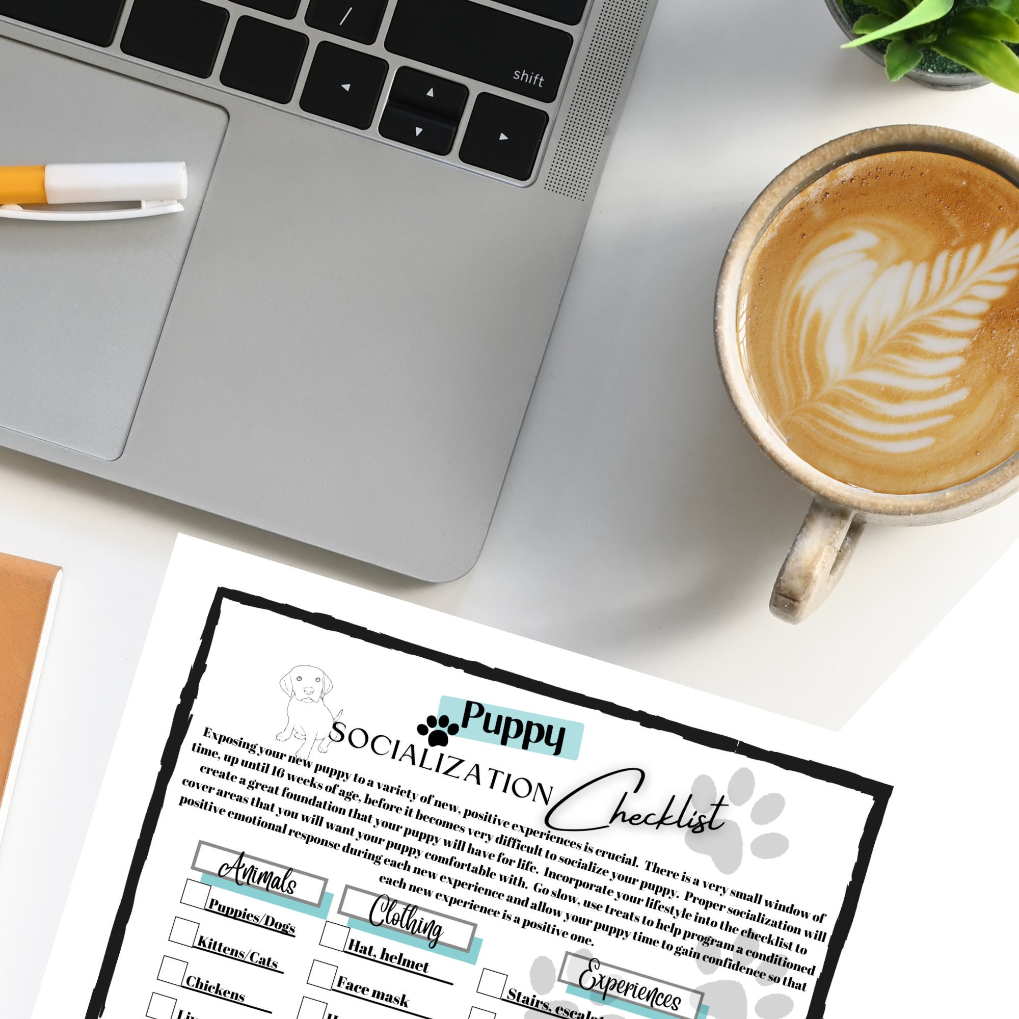 Puppy Socialization Checklist - Printable for Your Dog