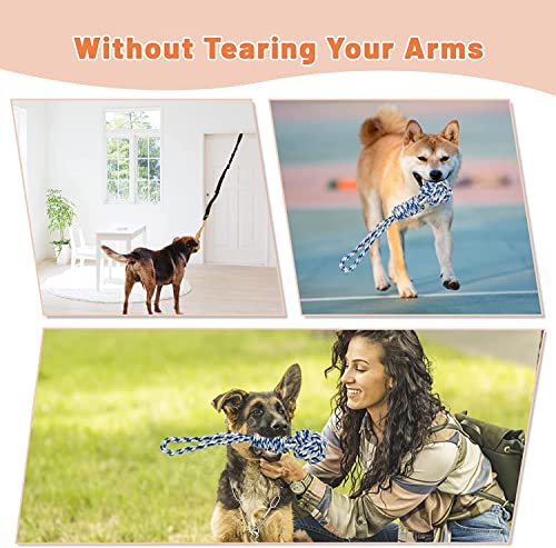 Interactive Dog Bungee Toy for Solo Play