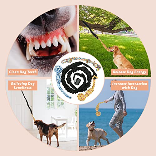 Interactive Dog Bungee Toy for Solo Play