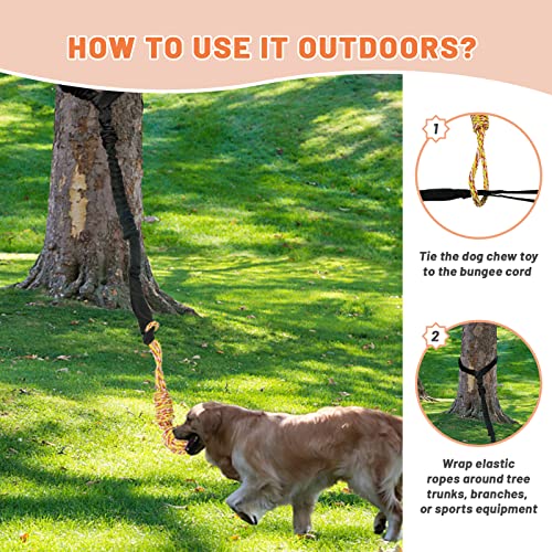 Interactive Dog Bungee Toy for Solo Play