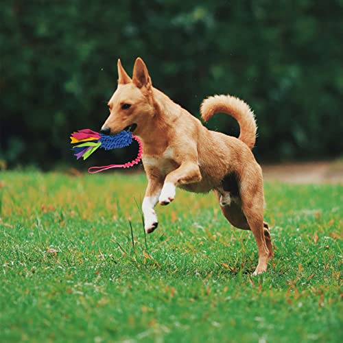 Strong Squeaky Dog Tug Toy: Ideal for Puppy Training