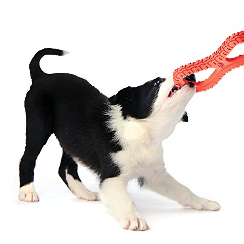 Nerf Dog Rubber Tug Toy - Interactive Texture