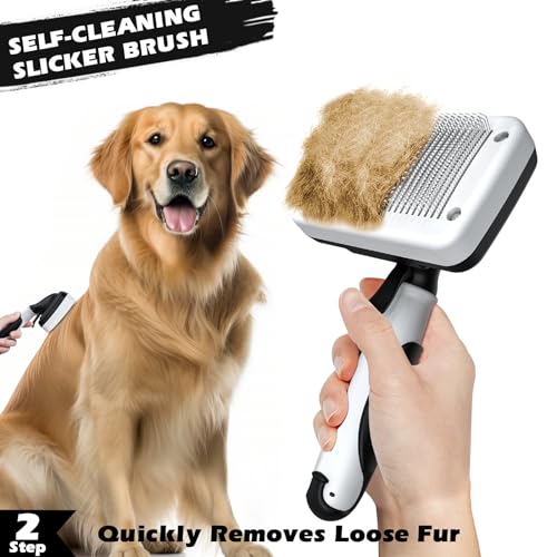6PCS Dog Grooming Kit I Premium Pet Supplies