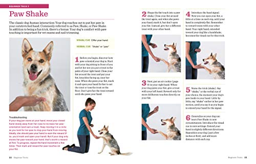118 Amazing Tricks and Stunts: Unleash Your Dog's Potential!