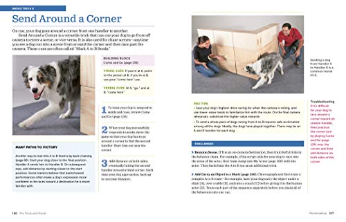 118 Amazing Tricks and Stunts: Unleash Your Dog's Potential!