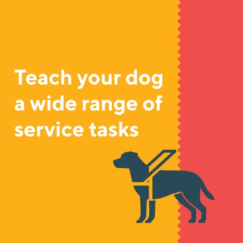 Step-by-Step Service Dog Training Guide for You & Your Dog
