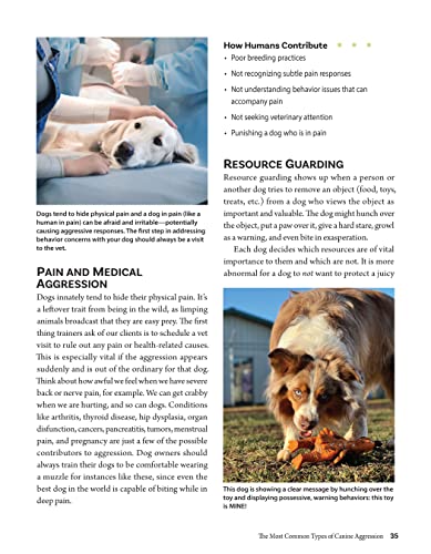 Calm Your Anxious Dog: Positive Training Techniques (CompanionHouse Books)