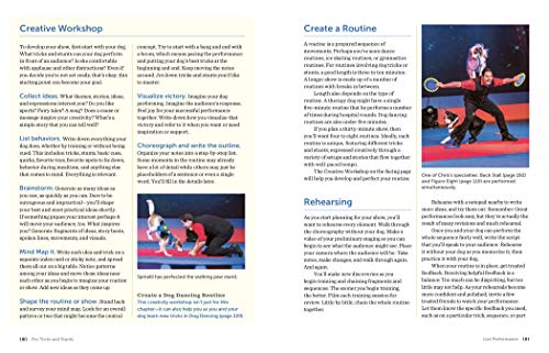 118 Amazing Tricks and Stunts: Unleash Your Dog's Potential!