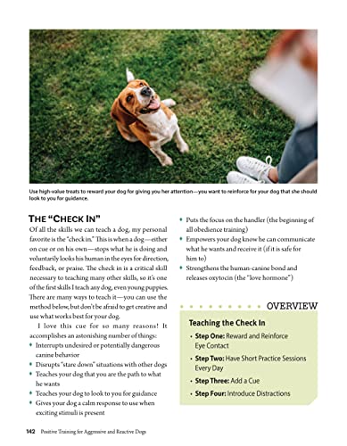 Calm Your Anxious Dog: Positive Training Techniques (CompanionHouse Books)