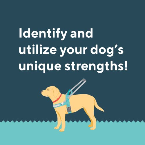 Step-by-Step Service Dog Training Guide for You & Your Dog