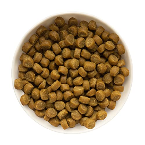 Chicken recipe dog training treats: Zuke's Mini Naturals
