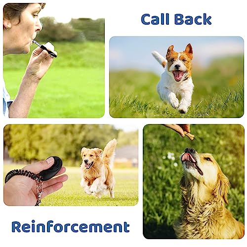 Small Dog Treat Pouch Kit with Clicker & Whistle