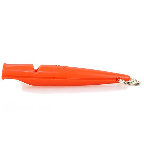 Orange Dog Leash 210.5