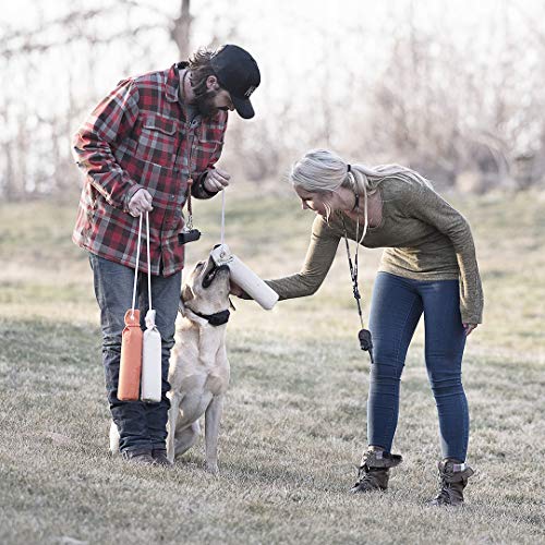 Competition Mega Whistle: Easy-to-Blow Training Tool for Dogs