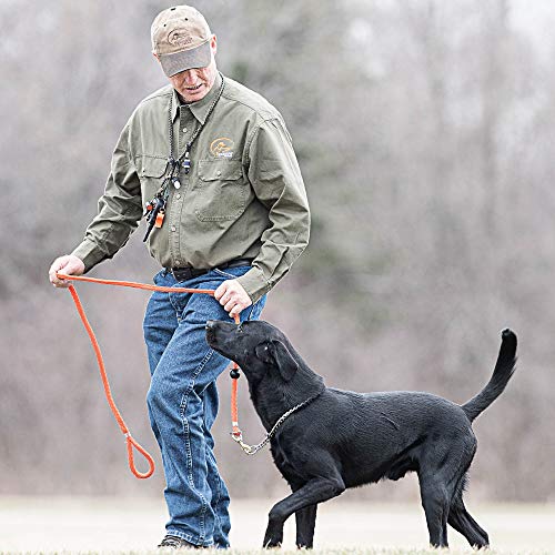 SportDOG Brand Roy Gonia Competition Whistle - Easy-to-Blow