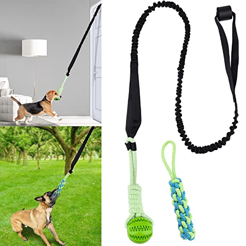 Dog Spring Pole Toy with Interactive Tug of War