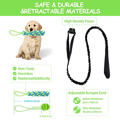 Dog Spring Pole Toy with Interactive Tug of War