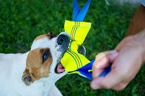 Durable Dog Bite Tug Toy - Strong Handles, Handmade