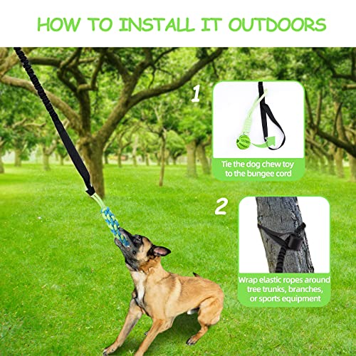 Dog Spring Pole Toy with Interactive Tug of War