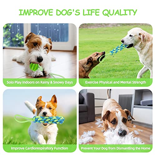 Dog Spring Pole Toy with Interactive Tug of War
