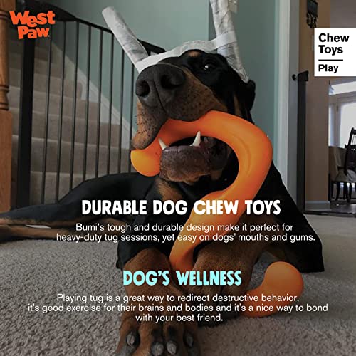 S-Shaped Dog Tug Toy - Lightweight & Squishy