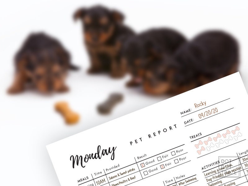 7 Day Pet Report Card Templates - Printable PDF