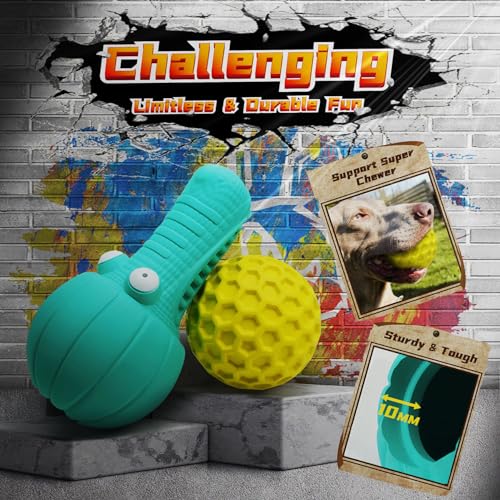Indestructible Dog Chew Toys Set for Aggressive Chewers
