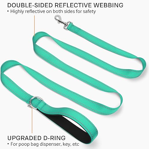 Joytale Reflective Dog Leash for Medium & Large Dogs