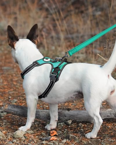 Joytale Reflective Dog Leash for Medium & Large Dogs