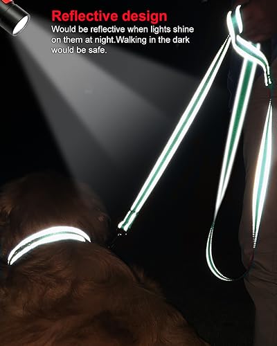 Joytale Reflective Dog Leash for Medium & Large Dogs