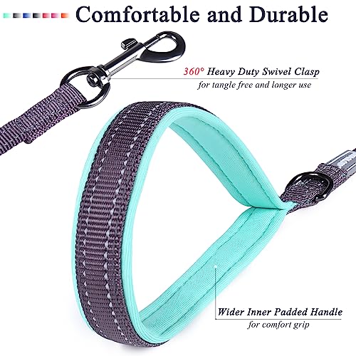 VIVAGLORY Dual Handle Dog Leash, Reflective Training Lead