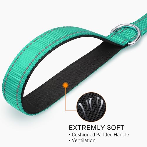 Joytale Reflective Dog Leash for Medium & Large Dogs