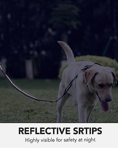 Tactical Bungee Dog Leash with Dual Handles