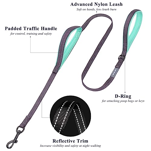 VIVAGLORY Dual Handle Dog Leash, Reflective Training Lead