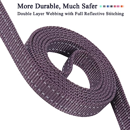 VIVAGLORY Dual Handle Dog Leash, Reflective Training Lead