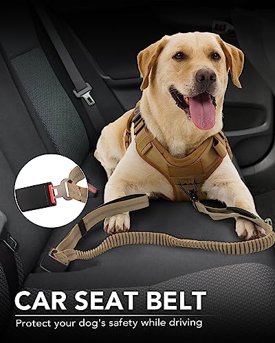 Tactical Bungee Dog Leash with Dual Handles