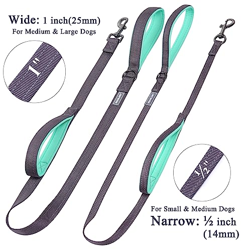 VIVAGLORY Dual Handle Dog Leash, Reflective Training Lead