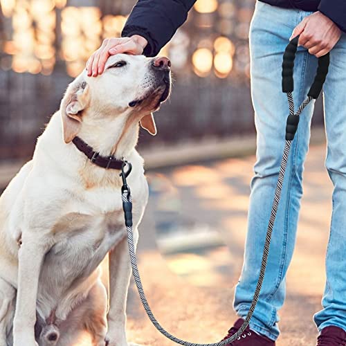 MayPaw Heavy Duty Nylon Rope Dog Leash