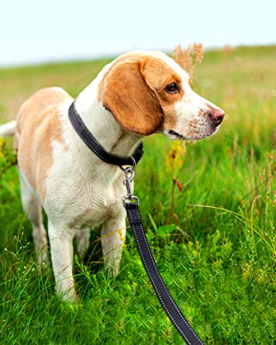 Reflective 6FT Dog Leash with Padded Handle
