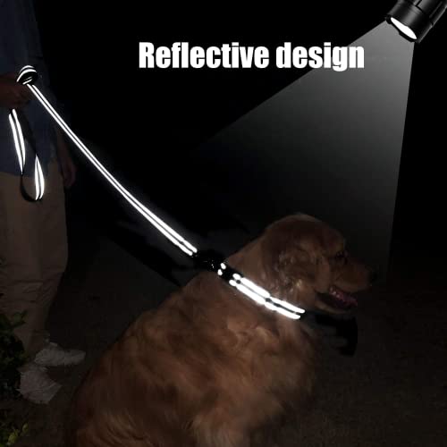Reflective 6FT Dog Leash with Padded Handle