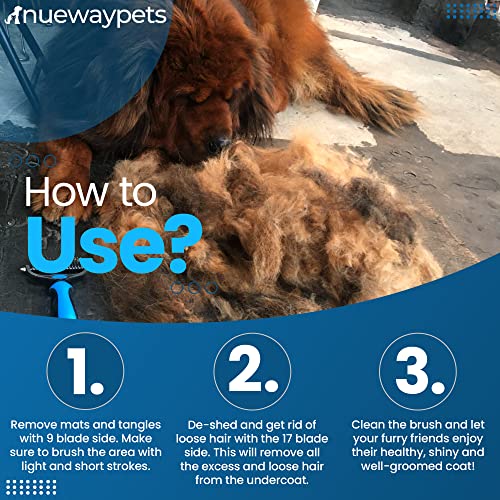 FureverBrush: The Ultimate Tool for Reducing Shedding