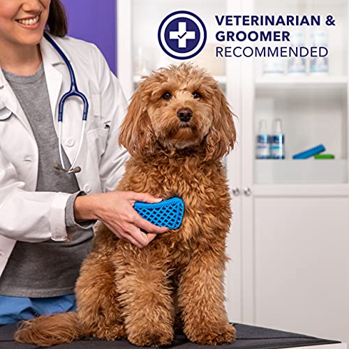 Furbliss Blue Multi-Functional Silicone Brush for Small Pets